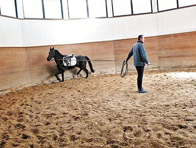 哈薩克是騎馬民族，可是在今天卻要從零開始，重新訓練符合國際比賽規則的馬術。