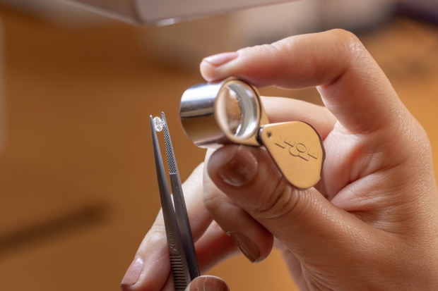 學員可在多個鑽石課程了解鑽石按顏色和淨度的評級。